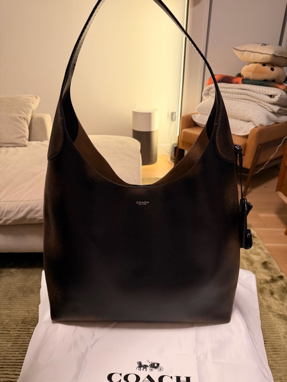 Coach Brooklyn 39 in Loved Leather